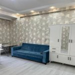 Аренда 2 комнатная Новостройка, Насими район 3