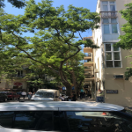 Satılır 4 otaqlı Köhnə Tikili, Sahil metrosu, Səbail rayonu 10