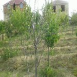 Satılır 7 otaqlı Bağ evi Sumqayıt 12