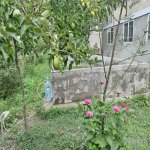 Kirayə (günlük) 3 otaqlı Həyət evi/villa Şəki 10