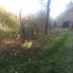 Продажа Участок, пос. Бадамдар, Сябаиль район 13