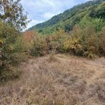 Satılır Torpaq Quba 6