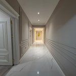 Satılır 3 otaqlı Yeni Tikili, Nəsimi rayonu 15