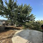 Satılır Torpaq, Mərdəkan, Xəzər rayonu 3