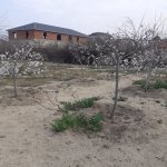 Satılır Torpaq Sumqayıt 7