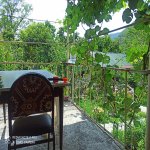 Kirayə (günlük) 3 otaqlı Həyət evi/villa Qax 4