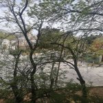 Satılır 5 otaqlı Köhnə Tikili, Ceyranbatan qəs., Abşeron rayonu 16