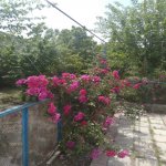 Satılır Torpaq, Maştağa qəs., Sabunçu rayonu 2