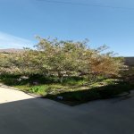 Satılır 3 otaqlı Həyət evi/villa, Müşviqabad qəs., Qaradağ rayonu 2
