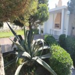 Kirayə (aylıq) 3 otaqlı Bağ evi, Şimal qres, Xəzər rayonu 4