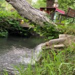 Satılır 4 otaqlı Həyət evi/villa Xaçmaz / Nabran 11