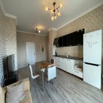 Продажа 2 комнатная Новостройка, м. Нариман Нариманов метро, Центр Гейдара Алиева, Наримановский р-н район 13