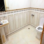 Kirayə (günlük) 5 otaqlı Bağ evi İsmayıllı 19