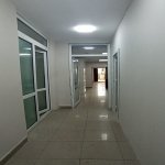 Kirayə (aylıq) 4 otaqlı Köhnə Tikili, İnşaatçılar metrosu, Yasamal rayonu 1