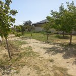 Satılır 3 otaqlı Bağ evi, Novxanı, Abşeron rayonu 15