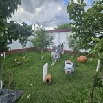 Kirayə (günlük) 6 otaqlı Həyət evi/villa Qəbələ 19