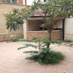 Kirayə (aylıq) 9 otaqlı Həyət evi/villa, Nəsimi metrosu, Binəqədi rayonu 2