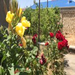 Satılır 6 otaqlı Həyət evi/villa, Fatmayi, Abşeron rayonu 29