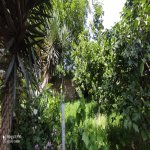 Satılır 7 otaqlı Bağ evi, Goradil, Abşeron rayonu 36