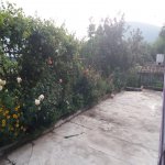 Kirayə (günlük) 2 otaqlı Həyət evi/villa Şəki 16