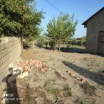 Satılır 3 otaqlı Həyət evi/villa, Goradil, Abşeron rayonu 9