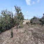 Satılır Torpaq, Maştağa qəs., Sabunçu rayonu 4