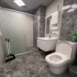 Kirayə (aylıq) 2 otaqlı Yeni Tikili, Xətai metrosu, Dəmirçi Plaza, Xətai rayonu 14
