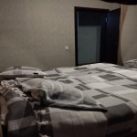 Satılır 3 otaqlı Həyət evi/villa Xırdalan 4