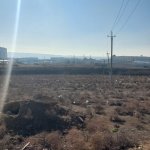 Satılır Torpaq, Saray, Abşeron rayonu 2