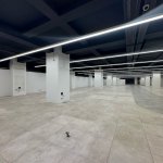 Kirayə (aylıq) Obyekt, Gənclik metrosu, Nəsimi rayonu 5