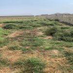 Satılır Torpaq, Məhəmmədli, Abşeron rayonu 4