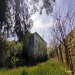 Kirayə (aylıq) 3 otaqlı Bağ evi, Bilgəh qəs., Sabunçu rayonu 12