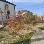 Satılır 7 otaqlı Həyət evi/villa, Saray, Abşeron rayonu 6