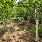 Satılır 7 otaqlı Həyət evi/villa İsmayıllı 15