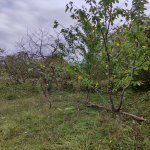 Satılır Torpaq Qusar 4