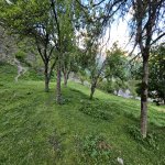 Продажа Участок Гябяля 9