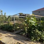 Посуточно 2 комнатная Дача, пос. Рамана, Сабунчу район 3