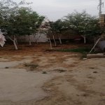 Satılır 3 otaqlı Həyət evi/villa, Masazır, Abşeron rayonu 5