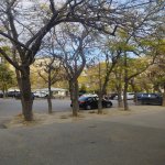 Аренда 3 комнатная Вторичка, м. Эльмляр Академиясы метро, Ясамал район 31