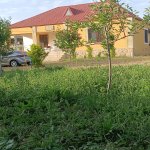 Kirayə (günlük) 3 otaqlı Bağ evi Xızı 1