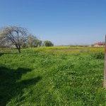 Satılır 5 otaqlı Həyət evi/villa Masallı 12
