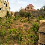 Satılır Torpaq, Novxanı, Abşeron rayonu 1