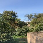 Продажа Участок, м. Ахмедли метро, Ахмедли, Хетаи район 6