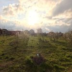 Satılır Torpaq, Buzovna, Xəzər rayonu 11