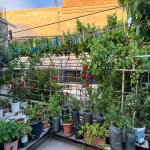 Продажа 6 комнат Дома/Виллы, пос. А.Асланов, Хетаи район 4