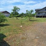 Kirayə (günlük) 3 otaqlı Həyət evi/villa Lənkəran 14