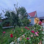 Kirayə (günlük) 4 otaqlı Həyət evi/villa Qəbələ 21