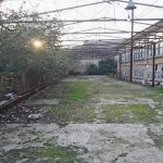 Satılır 4 otaqlı Həyət evi/villa Cəlilabad 3