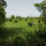 Satılır Torpaq Oğuz 10