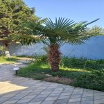 Продажа 5 комнат Дача, м. Короглу метро, пос. Савалан, Сабунчу район 5